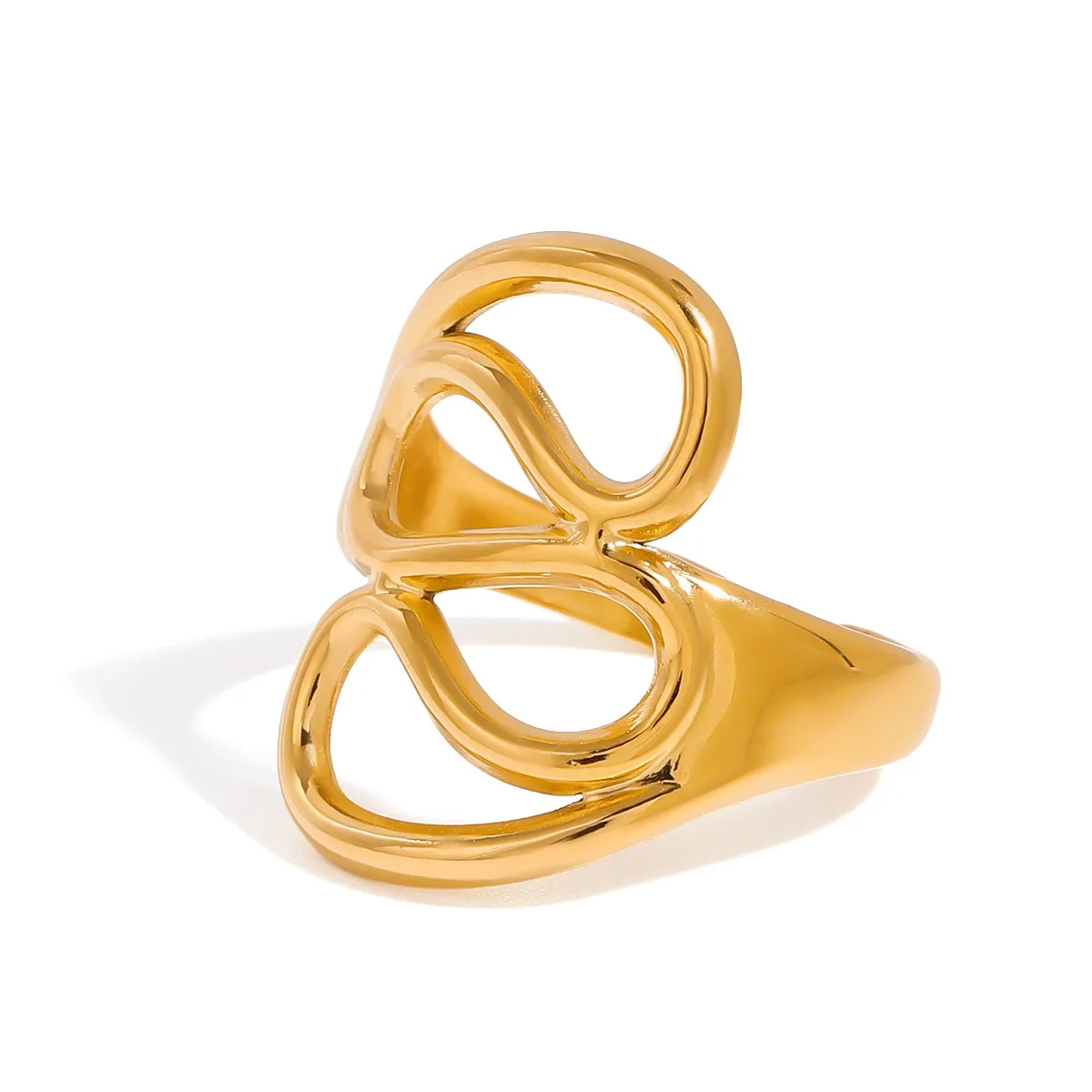 Dani Ring