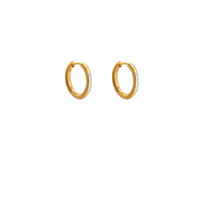 Charm Earrings