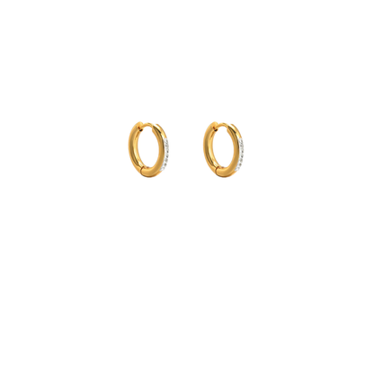 Charm Earrings