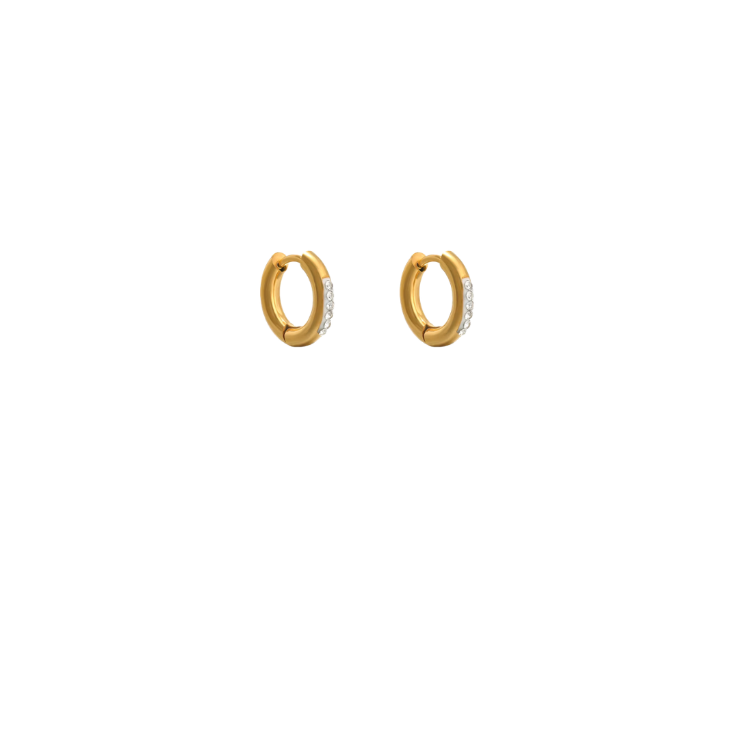 Charm Earrings