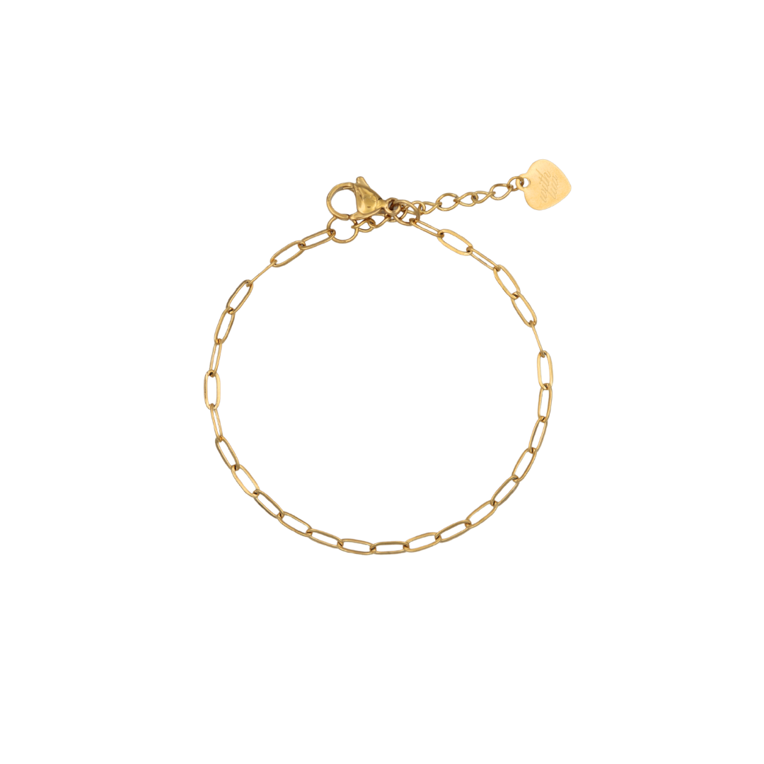Charm Bracelet