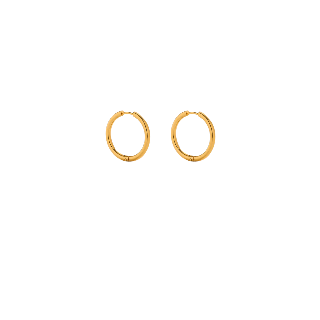 Charm Earrings