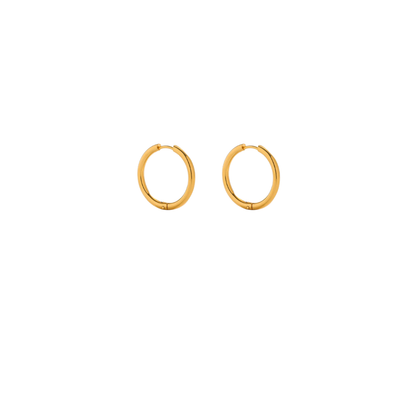 Charm Earrings